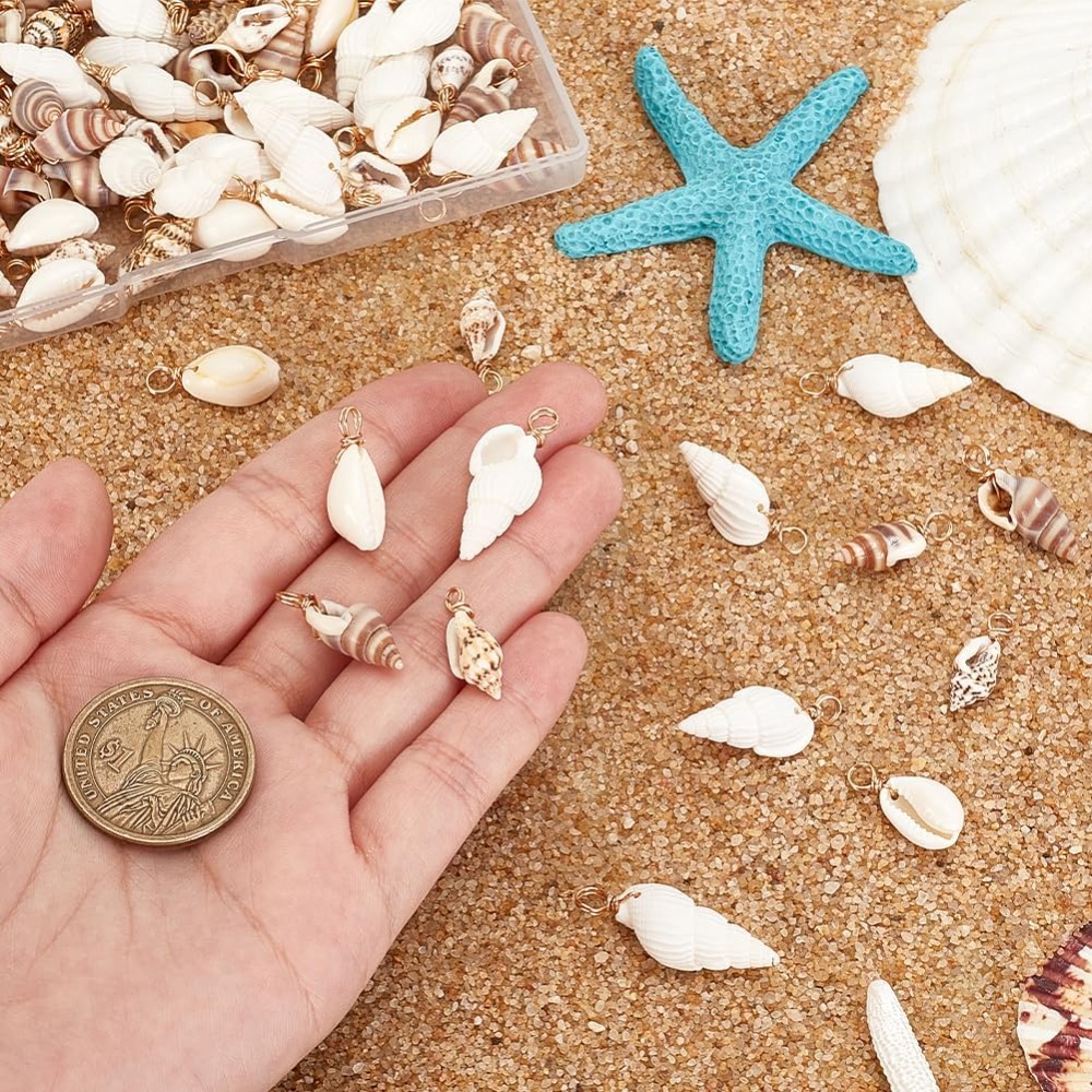 100pcs 4 Styles Natural Shell  - Jewelry Making Kits review and price
